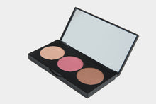 Load image into Gallery viewer, Cheeky Palette