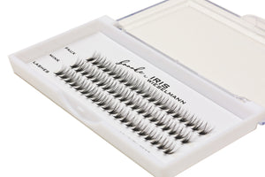Brooke X Iris Faux Mink Individual Lashes